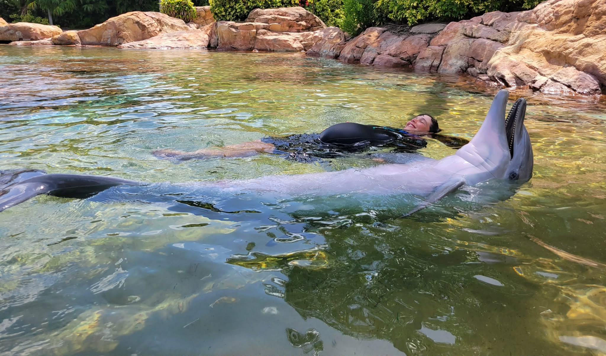 Pregnant Kristin floats on her back next to a dolphin doing the same